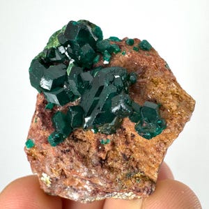 Incredible Dioptase and Malachite from Sanda Hills,Mindouli,Pool Department,Mindouli District,Congo,Dioptase Crystal,Dioptase Cluster N45