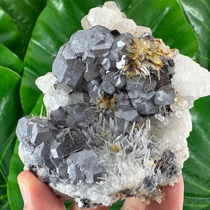 Rare Galena with Quartz,Sphalerite and Calcite from Trepca,Kosovo,Trepca Stari Trg Mine,Trepca complex,Trepca valley, Mitrovica,N552