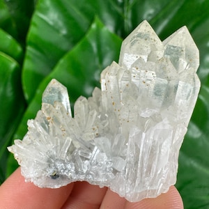 Very nice Quartz with Calcite from Djurkovo mine,Laki ,Bulgaria,Calcite Collector,crystal N34