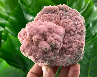 Large Ball Rhodochrosite on Matrix,Stilbite from Davidkovo ore Filed,Bulgaria,Pink Crystal,Rodochrosite Crystal,Stone,Top Pink colour,pink