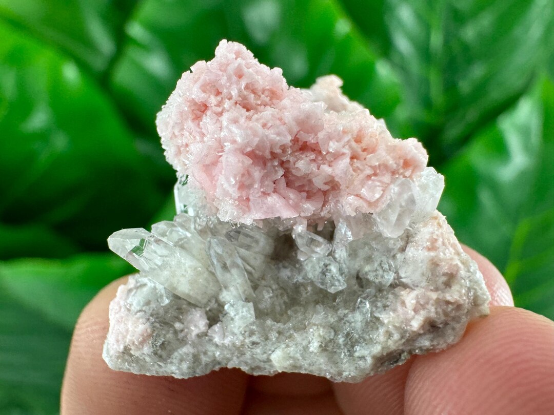 Mini Rhodochrosite With Quartz From Davidkovo Ore Filed,bulgaria,pink ...