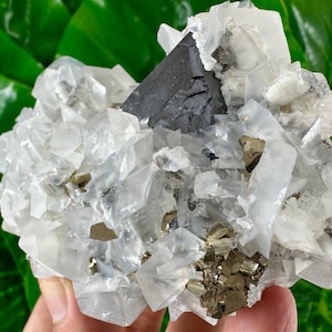Amazing Calcite with Sphalerite and Pyrite from Trepca,Kosovo,Trepca Stari Trg Mine,Trepca complex,Mitrovica,N560