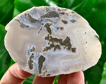 稀少大珍品レア手練りガマガエル細密造形美術旧家蔵出全長約４０センチ陶磁器製時代品 生人形図蒔絵四段－印籠｜根付専門店「提物屋」