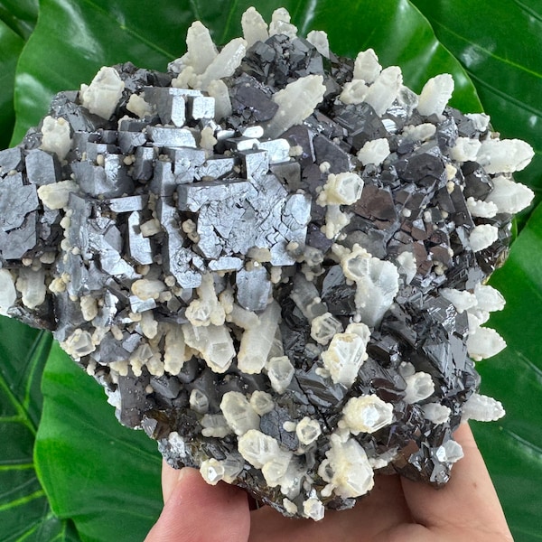 Quartz with Galena and Sphalerite from Krushev dol mine,Madan,Bulgaria,N231