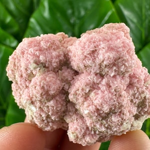 Increíble Rodocrosita con Cuarzo y Estilbita del mineral Davidkovo, Bulgaria. Cristal rosa. Cristal de Rodocrosita. Piedra. Color rosa superior N43.