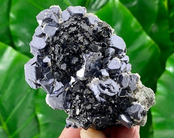 May include: A cluster of black and grey metallic crystals on a white matrix. The crystals are sharp and have a metallic sheen.