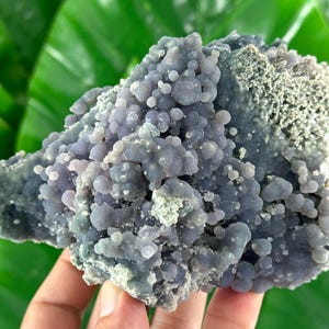 Könnte beinhalten: Nahaufnahme eines Clusters aus botryoidalem Chalcedon, einer Quarzart. Das Mineral hat eine blau-graue Farbe mit einer blasenartigen, traubenähnlichen Textur. Der Hintergrund ist verschwommenes grünes Laub.