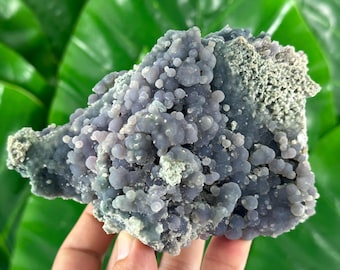 May include: A close-up of a cluster of botryoidal chalcedony, a type of quartz. The mineral has a blue-gray color with a bubbly, grape-like texture. The background is blurred green foliage.
