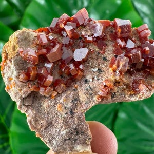 Amazing Vanadinite from Morocco,Crystal, Mineral,Specimen,Cluster,Vanadinite Crystal,Vanadinite,Geology,Vanadinite,Red,Home Decor, N58