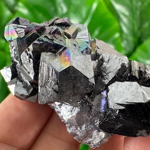 Iridescent Sphalerite with Galena from Trepca,Kosovo,Trepca Stari Trg Mine,Trepca complex,Mitrovica,N561