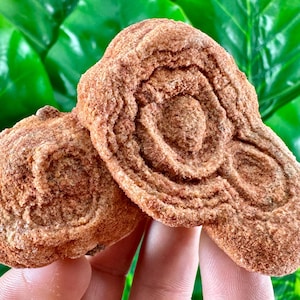 Large Stromatolite from Morocco,Fossil Specimen,Raw Stromatolite Fossil,rough fossilized algae for grounding and meditation,Moroccan Fossil,