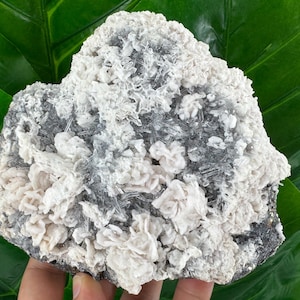 Very nice Calcite with Quartz on Matrix from Krushev Dol mine,Madan,Bulgaria,Calcite Collector,crystal N532