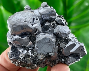 May include: A cluster of black, metallic, and shiny galena crystals. The crystals are sharp and have a geometric shape. The galena is a natural mineral.