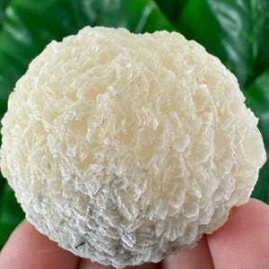 Peut inclure: Gros plan sur un spécimen minéral de couleur crème. Le minéral a une forme arrondie et une surface texturée composée de structures cristallines en couches. La partie inférieure du minéral a une teinte plus foncée, grisâtre.