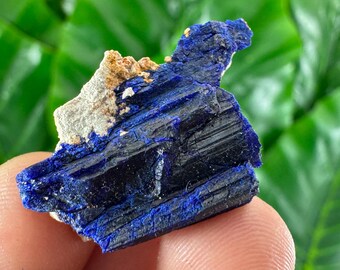 Cristal de azurita: Minerales y cristales de Marruecos, Colección de azurita, Ejemplar de azurita