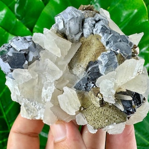 Rare combination of Chalcopyrite,Pyrite,Calcite,Sphalerite,Galena from Trepca,Kosovo,Trepca Stari Trg Mine,Trepca complex,Mitrovica,N561