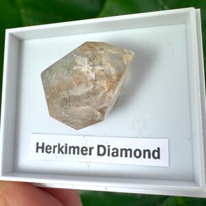 Peut inclure: Un cristal de diamant Herkimer dans un présentoir blanc. Le cristal transparent présente des inclusions brunes et beiges. L'étiquette en dessous indique "Herkimer Diamond". L'arrière-plan est vert flou.