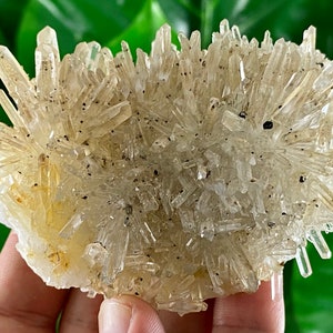 Transparent Quartz with Limonite,Sphalerite from 9th September mine,Madan,Bulgaria, Minerals, Specimens,Crystals,Bulgarian Minerals