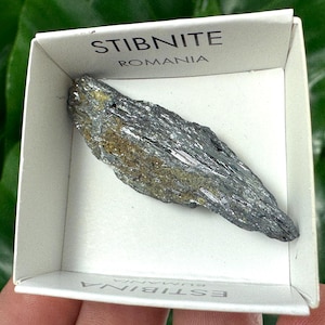 Puede incluir: Un espécimen mineral de estibnita gris de Rumanía, exhibido en una caja blanca. El mineral tiene un brillo metálico y una estructura cristalina en capas. La caja está etiquetada como "STIBNITE ROMANIA".