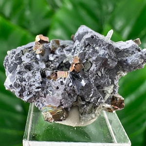 May include: A mineral specimen featuring a cluster of dark gray, metallic galena crystals interspersed with small, shiny, brass-colored pyrite cubes. The jagged, crystalline formation displays varied textures and reflective surfaces throughout the piece.