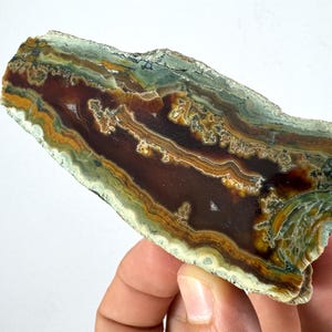 Seltene polierte Orpheus Achat Geode, Natürlicher Rhodope Mountains Achat, Sammler Mineral Probe