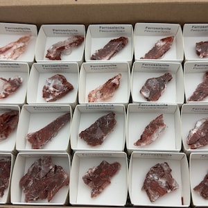 Può includere: Una collezione di 20 piccole scatole rettangolari, ciascuna contenente un campione minerale di colore rosso-marrone etichettato "Ferroselenite Pesquera Spagna".