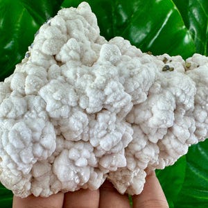 Könnte beinhalten: Ein großer, weißer, blumenkohlartiger Cluster aus Calcitkristallen mit kleinen, dunkelgrauen Pyrit-Einschlüssen. Die Calcitkristalle sind in einer dichten, abgerundeten Form zusammengefügt.