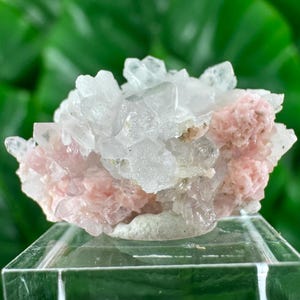 May include: A cluster of crystals featuring a combination of clear quartz and pink rhodochrosite. The quartz crystals are translucent and pointed, while the rhodochrosite has a soft, pink, and textured appearance. The mineral specimen is displayed on a clear, square stand.