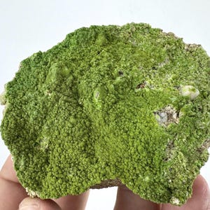 May include: A raw mineral specimen featuring a vibrant green, granular, and textured surface. The rock displays a dense cluster of small, bumpy formations across its top, with patches of light gray and white mineral deposits visible underneath.