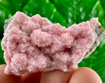 Può includere: Un gruppo di cristalli di rodocrosite rosa su una matrice grigia. I cristalli sono piccoli e hanno una superficie ruvida e testurizzata.