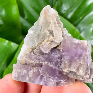 Amazing Aragonite from Spain,Aragonite crystal,cluster,natural,mineral,specimen,Purple Aragonite,Spanish Aragonite,Mineralcollection,