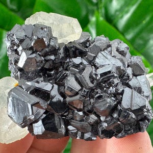 Amazing Sphalerite with Calcite from Trepca,Kosovo,Trepca Stari Trg Mine,Trepca complex,Mitrovica,N67