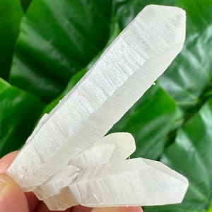 Amazing Quartz with Calcite from Krushev dol mine,Madan,Bulgaria,Inclusions,Mineral Specimen,Calcite Collector’s