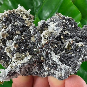 May include: A cluster of pyrite and quartz crystals. The pyrite crystals have a metallic gold color, while the quartz crystals are white. The pyrite is embedded in a dark gray matrix. The overall shape is irregular and textured.