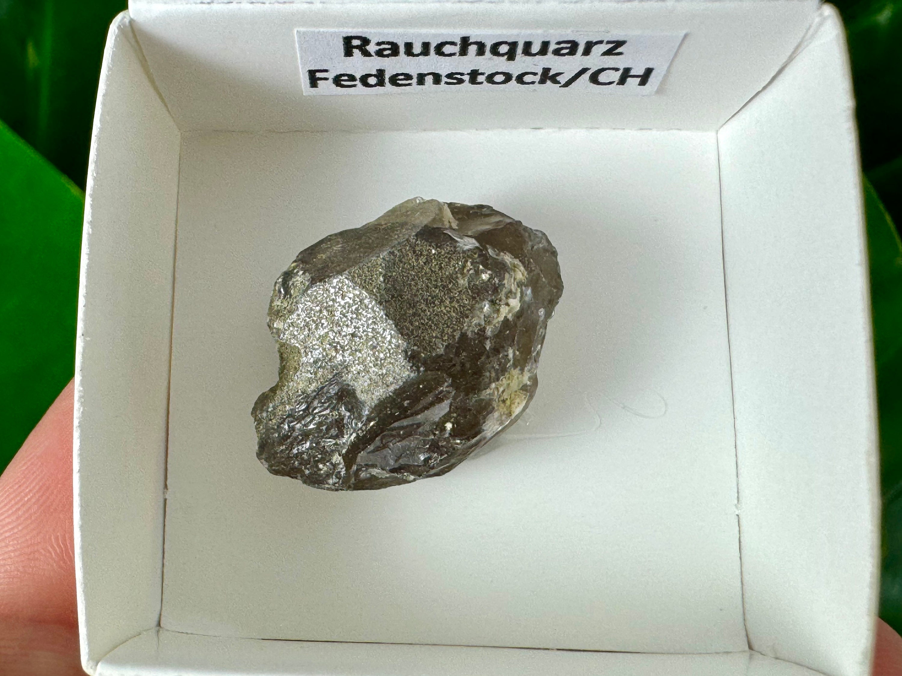 Raro quarzo fumé di Fedenstock (montagna) Svizzera,Minerale,Esemplare,Collezione,Quarzo nero,Minerale,Casa,Quarzo fumé