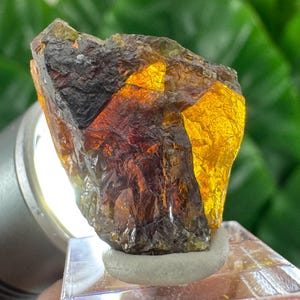 Peut inclure: Une pierre précieuse brute aux teintes brun foncé, ambrées et jaune doré. La pierre est éclairée, révélant sa structure translucide et cristalline. Elle repose sur un présentoir transparent.