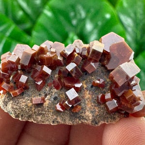 Amazing Vanadinite from Morocco,Crystal, Mineral,Specimen,Cluster,Vanadinite Crystal,Vanadinite,Geology,Vanadinite,Red,Home Decor, N58