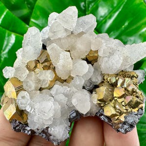 Aesthetic Pyrite,Sphalerite with Calcite from Trepca,Kosovo,Trepca Stari Trg Mine,Trepca complex,Mitrovica,N559
