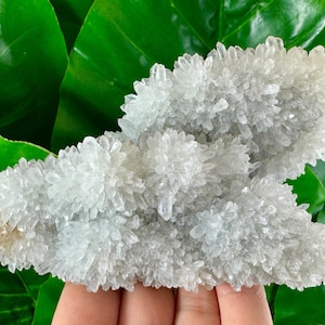 Transparent Quartz with Limonite from 9th September mine,Madan,Bulgaria,Transparent Quartz,Quartz Cluster,Home Decor, Energy Crystal