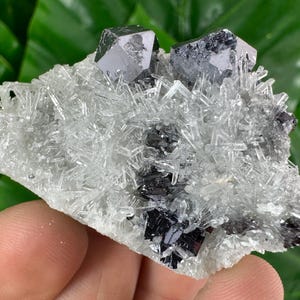Double sided Galena with Quartz from Borieva mine,Madan ,Bulgaria,Calcite Collector,crystal N29