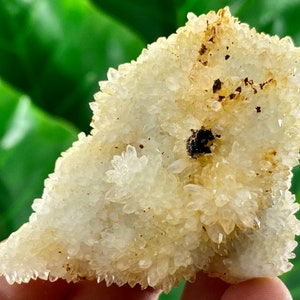 Transparent Quartz with Limonite from 9th September mine,Madan,Bulgaria,Transparent Quartz,Quartz Cluster,Home Decor, Energy Crystal,