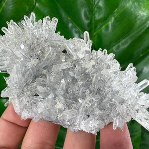Transparent Quartz and Calcite from Borieva mine,Madan,Bulgaria,,Mineral,Specimen,Calcite Collector’s,minerals,N522