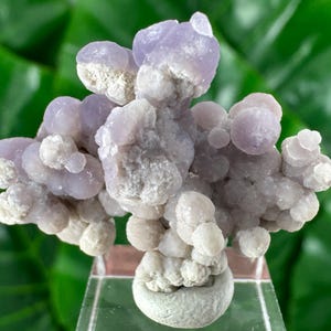Puede incluir: Un grupo de cristales de calcedonia de color púrpura claro con una textura burbujeante. La formación de cristal tiene un aspecto suave y mate y está montada sobre una base transparente. El fondo presenta follaje verde borroso.