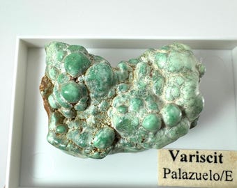 Very rare VARISCITEr from Palazuelo Spain,VARISCITE,VARISCITE from Spain,Green Variscite,Mineralcollection,Collectors