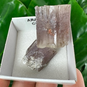 Amazing Aragonite from Spain,Aragonite crystal,cluster,natural,mineral,specimen,Purple Aragonite,Spanish Aragonite,Mineralcollection,