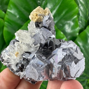 Amazing Galena with Sphalerite,Dolomite and Quartz from Trepca,Kosovo,Trepca Stari Trg Mine,Trepca complex,Mitrovica,N561