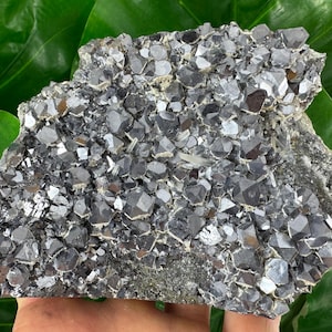 Amazing Galena with Quartz and Calcite from Krushev dol mine,Madan,Bulgaria,Mineral Specimen,Mineral Collection,Energy Crystal,N504