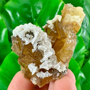 Yellow Fluorite with Calcite from Moscona Mine,Spain,Mineral Specimen,Yellow Fluorite,Fluorite from Spain,Collection,Big Fluorite,