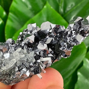 Erstaunliche Bleiglanz mit Quarz von Borieva Mine, Madan,Bulgarien, Mineral, Kristall, Wohnkultur, Sammlung N36