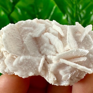 Rare Calcite from Krushev dol mine,Madan,Bulgaria,Inclusions,Mineral Specimen,Calcite Collector’s